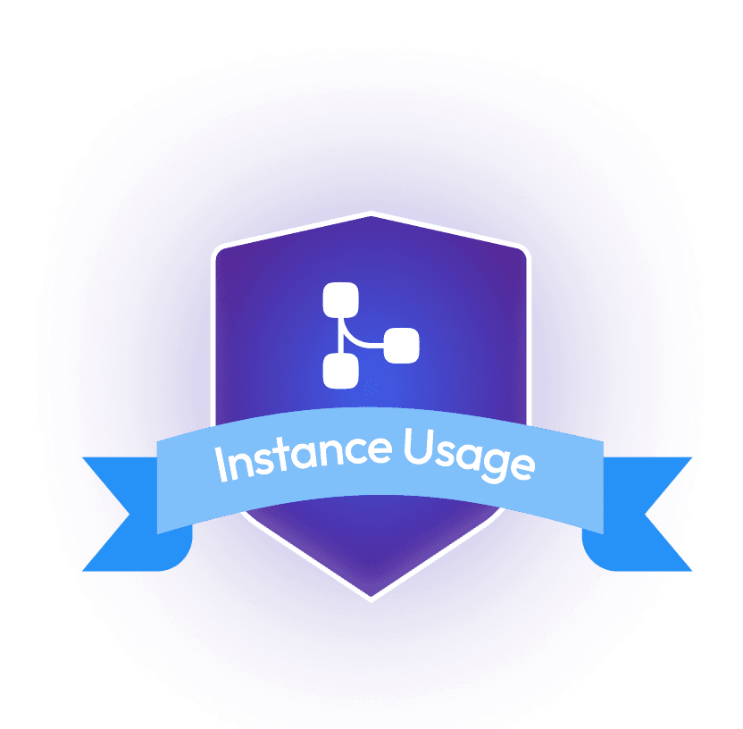 Instance